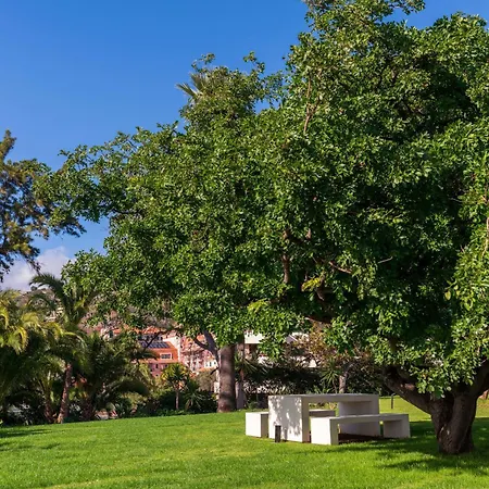 Acqua Viii By An Island *